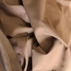 茶色生地