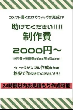 가발 주문 [9월△, 10월◎ ~]