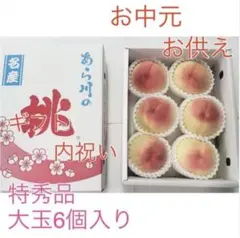 ①実はお値打ち☆秀品2キロ箱❗️ 大玉★桃パパ★【送料無料】あら川ブランド桃