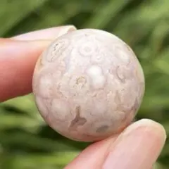 チェリーブロッサムアゲートスカル - メルカリ