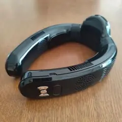 Item thumbnail for item 558819d0-bf47-411e-9d9c-363cc8b5a229