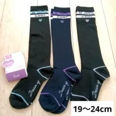 Item thumbnail for item 5c8859c2-da32-498f-bb1b-73c34a62c222