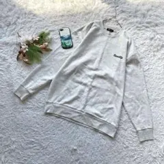 ✨在庫限り✨ (L) トレーナー メンズ 刺繍ロゴ バックプリント カジュアル