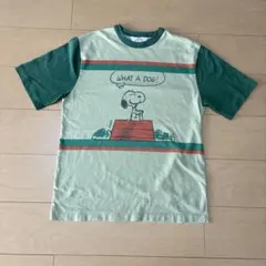 USA製 70s Arrow スヌーピー 染み込み リンガー Tシャツ Lのサムネイル