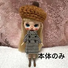 2026年最新】プチブライス本体のみの人気アイテム - メルカリ