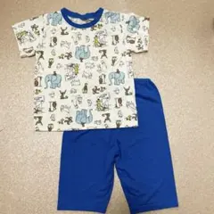 Item thumbnail for item 2cc901b3-51fb-432e-a978-be8794d069fe