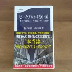 ピークアウトする中国 「殺到する経済」と「合理的バブル」の限界
