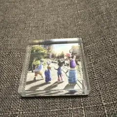 ミッキーインリアルライフ