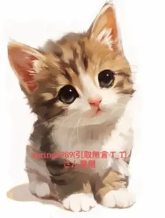 spring3989(引取無言 T_T)さん専用