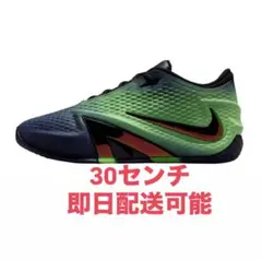 国内正規品 Nike Ja 4 EP Nightmare 30cm - メルカリ