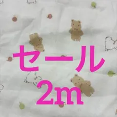 ダブルガーゼ生地