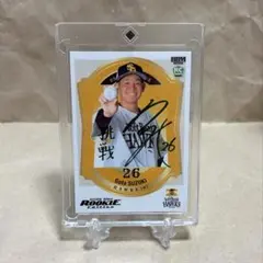 Item thumbnail for item 13c99aa2-e6c9-4a93-b962-bd5af0788b5b