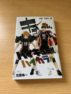 ハイキュー!! 公式カラーイラスト集 ハイカラ!! - メルカリ