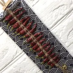 イボンヌ様 リクエスト 2点 まとめ商品