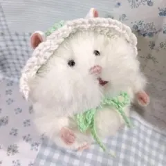 はむにぎりのためのおでかけボンネット　メロンのサムネイル