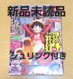 【新品未読品】ONE PIECE ワンピースマガジン 20号 プロモ付き5冊