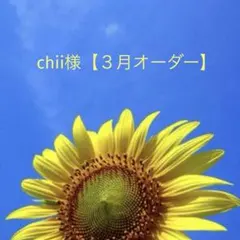 chii様【３月オーダー専用】④