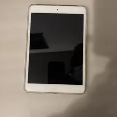ipad mini2 本体