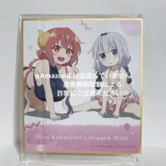 小林さんちのメイドラゴン トレーディングミニ色紙 イルル カンナ