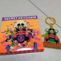 ディズニーストア ハロウィン新品アクリルキーチェーンミッキーランド