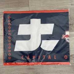 RB大宮アルディージャ　さいたまダービー限定タオル　天皇杯