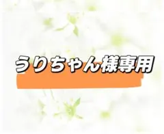 うりちゃん様専用ページ