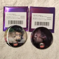 鬼滅の刃無限城編コラボカフェ蟲の呼吸アニメーションランダム缶バッジ　胡蝶しのぶ