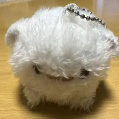ビカラ グラブル ヘアゴム付きマスコットクリップ (ネズミ) グラフェス 