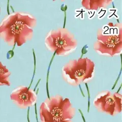 オックス 2m