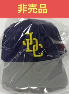 非売品 JDC キャップ 帽子 TCK ジャパンダートクラシック 2026