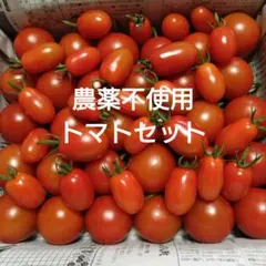 農薬不使用 トマトセットのサムネイル
