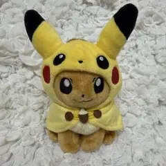 ポケモンセンター限定 ポンチョを着たピカチュウ メガデンリュウ