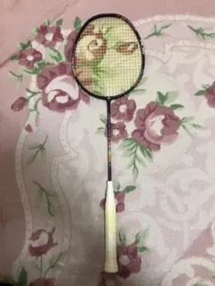 Item thumbnail for item 07093436-e892-4bde-b942-5e0b15899179