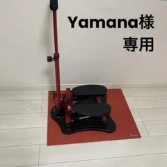 谷村実業 ラクラク電動サイクル ステッパー TAN-5002 - メルカリ