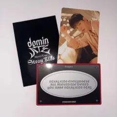 straykids カード2枚 スンミン