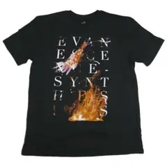 00s Y2K エヴァネッセンス Evanescence Tシャツ Mサイズ 黒 - メルカリ