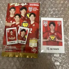 男子バレー ポトレ 甲斐優斗