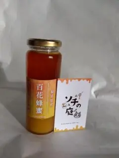 日本蜜蜂 純正ハチミツ 宮崎産 山蜜 越冬蜜400g×1 - メルカリ