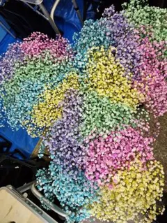 在庫最後　限定１名様　生花白&染かすみ草 在庫最後 限定1名様 生半ドライフラワー白&染かすみ草 - メルカリ