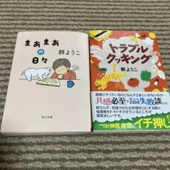 まぁまぁの日々 トラブルクッキング 群ようこ 2冊セット