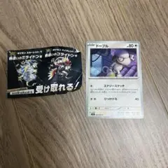 ポケモンSV ミライドンコライドン　色違い