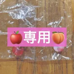 専用品