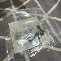 ヒプノシスマイク アクリルスタンドキーホルダー 碧棺左馬刻　Next Stage