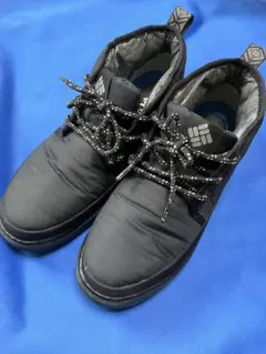 Item thumbnail for item 77e0043a-2596-4bce-ac0b-55f996043609