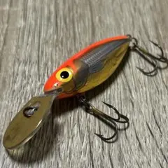 ストーム　ホッテントットのサムネイル