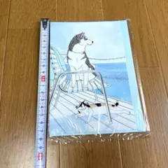 松井えり菜「サンライズえり菜 大原美術館をおもちゃ箱」図録 - メルカリ
