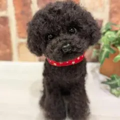 Item thumbnail for item 564e4baf-1401-44b1-843b-8f4d906c6f0b