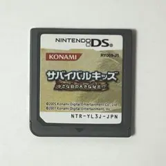 DS　サバイバルキッズ 小さな島の大きな秘密!?