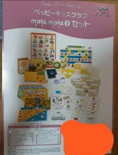 いちご モラモラi本体のみ 未使用品 とちあいか（平積み2パック）1箱 | ゆいファーム｜産直通販