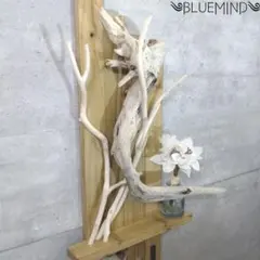 Item thumbnail for item b8c72cae-12a0-4507-9ae9-d07eea58bdba